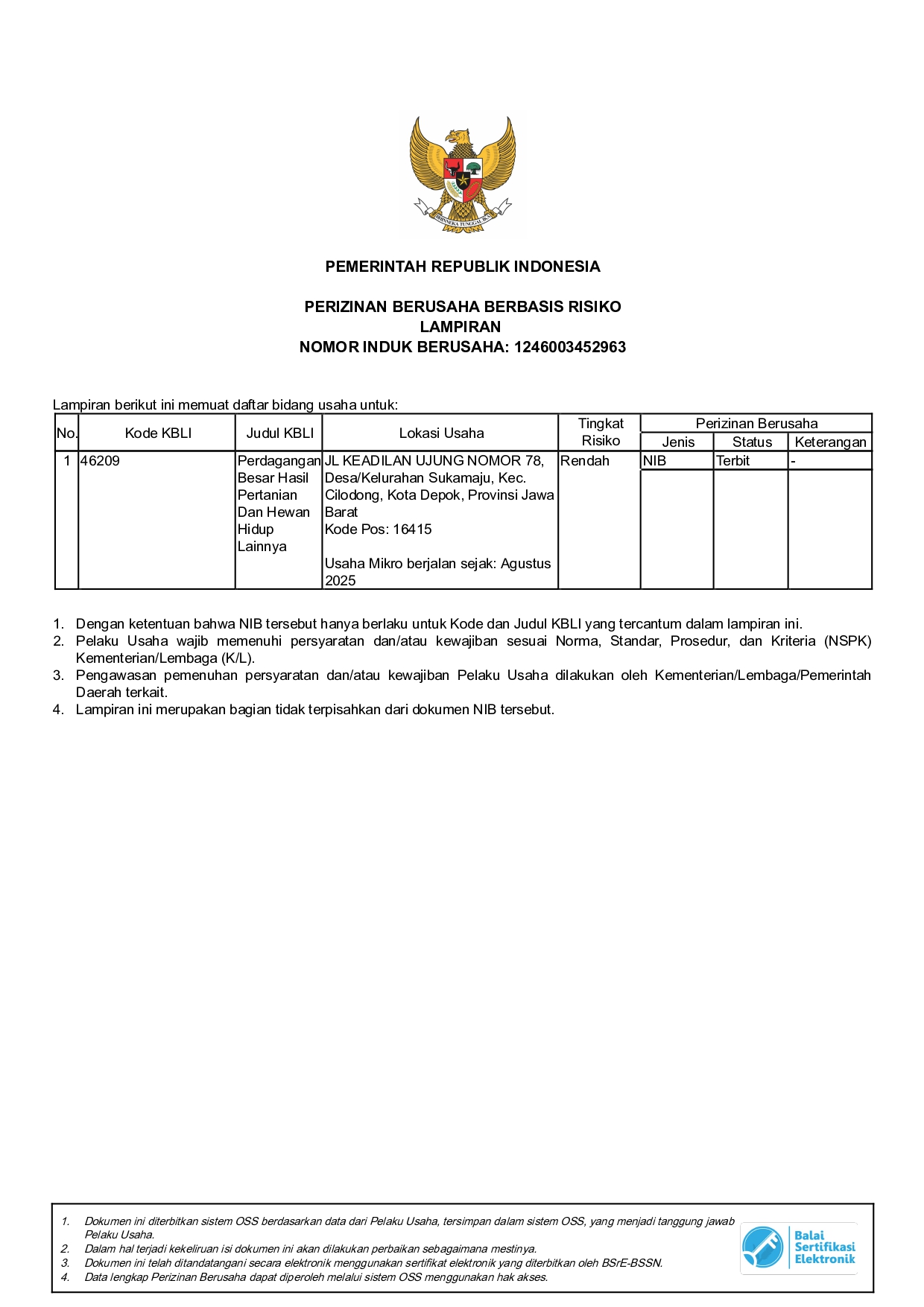 NIB Certificate Page 2