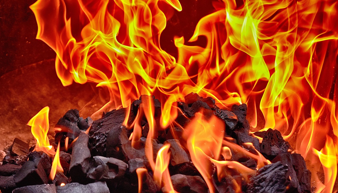 CocoBlim coconut charcoal